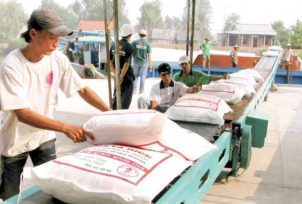 Bao Bì Tâm Thành -Công ty sản xuất bao bì PP dệt, màng ghép phức hợp…