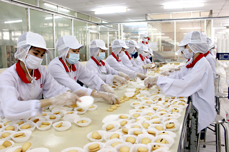 Bao Bì Tâm Thành -Công ty sản xuất bao bì PP dệt, màng ghép phức hợp…