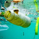 Loại bỏ rác nhựa trên đại dương là một sự lãng phí